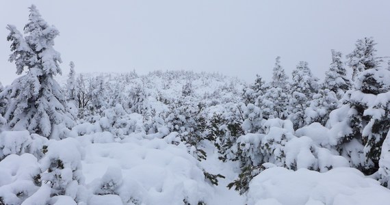 Zima ponownie zagościła w Karkonoszach. Jak informuje GOPR na Śnieżce spadło około 25 centymetrów śniegu. Padać ma także dzisiaj. Goprowcy ostrzegają, że na szlakach jest bardzo ślisko.