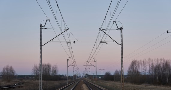 Z powodu zerwanej sieci trakcyjnej są utrudnienia w ruchu pociągów relacji Wrocław - Głogów, przez Legnicę i Lubin - poinformowały Koleje Dolnośląskie. Na odcinku od Raszówki do Lubina wprowadzono komunikację zastępczą. Przerwa w ruchu może potrwać nawet do godz. 2 w nocy.

