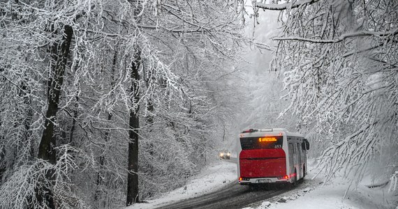 Na Podkarpaciu strażacy prawie 200 razy wyjeżdżali w ciągu ostatniej doby do usuwania skutków intensywnych opadów śniegu - poinformował rzecznik podkarpackiej straży pożarnej brygadier Marcin Betleja.