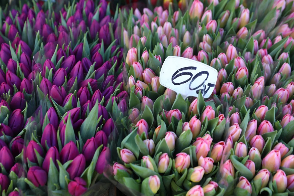 UOKiK nałożył ponad 1,6 mln zł kary na Pocztę Kwiatową za stosowanie niedozwolonego postanowienia umownego - poinformował w piątek urząd. W załączniku do regulaminu spółka zastrzegała, że nie gwarantuje dostarczenia przesyłki w Dzień Babci, Dziadka, Walentynki czy Dzień Kobiet. 