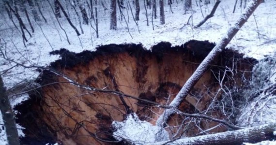 Kolejne zapadlisko w małopolskiej Trzebini. Tym razem dół pojawił się na zalesionym terenie w okolicach cmentarza w pobliżu ulicy Jana Pawła II. Informację o zdarzeniu dostaliśmy na Gorącą Linię RMF FM.