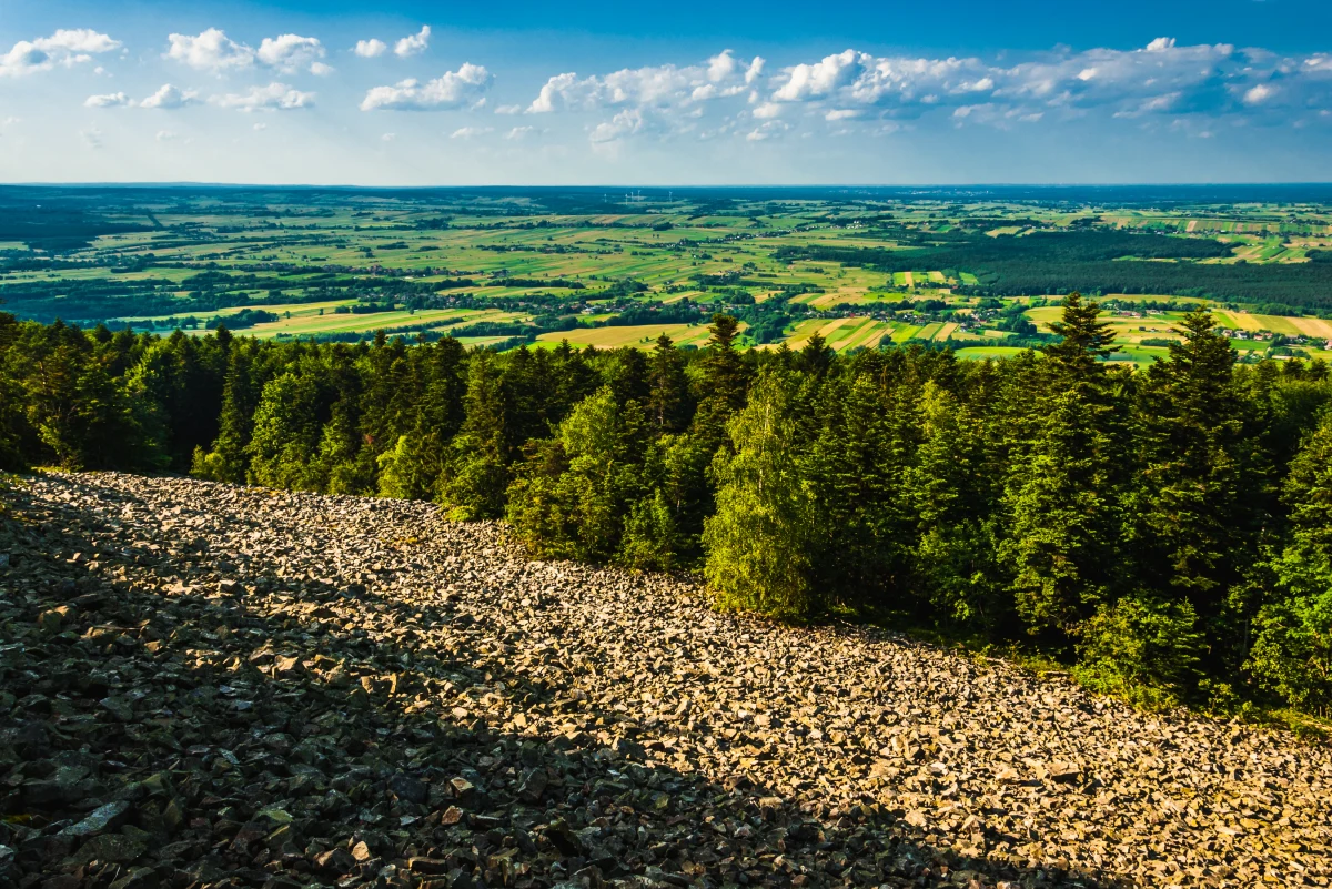 Posłowie Lewicy złożyli w piątek zawiadomienie o możliwości popełnienia przestępstwa przez trzech ministrów odpowiedzialnych za środowisko w związku z usunięciem części działek na Łyścu ze Świętokrzyskiego Parku Narodowego.