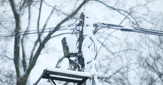 W związku z intensywnymi opadami mokrego i ciężkiego śniegu, w Małopolsce w sobotę rano 108 tys. odbiorców było pozbawionych prądu – podsumowała rzeczniczka TAURON Ewa Groń. Wojewoda Łukasz Kmita poinformował, że w ciągu doby strażacy w regionie interweniowali aż 1172 razy - głównie przy usuwaniu gałęzi i konarów z dróg.
