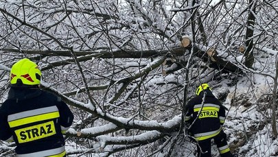 650 interwencji podkarpackich strażaków po opadach śniegu