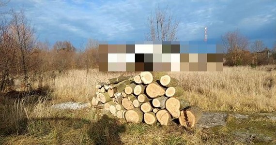 Policjanci w Kruszynie zatrzymali drugiego sprawcę sylwestrowego wyrębu drzew. Został zatrzymany w momencie łamania sądowego zakazu kierowania pojazdem. 32-latkowi grozi kara 5 lat więzienia.
