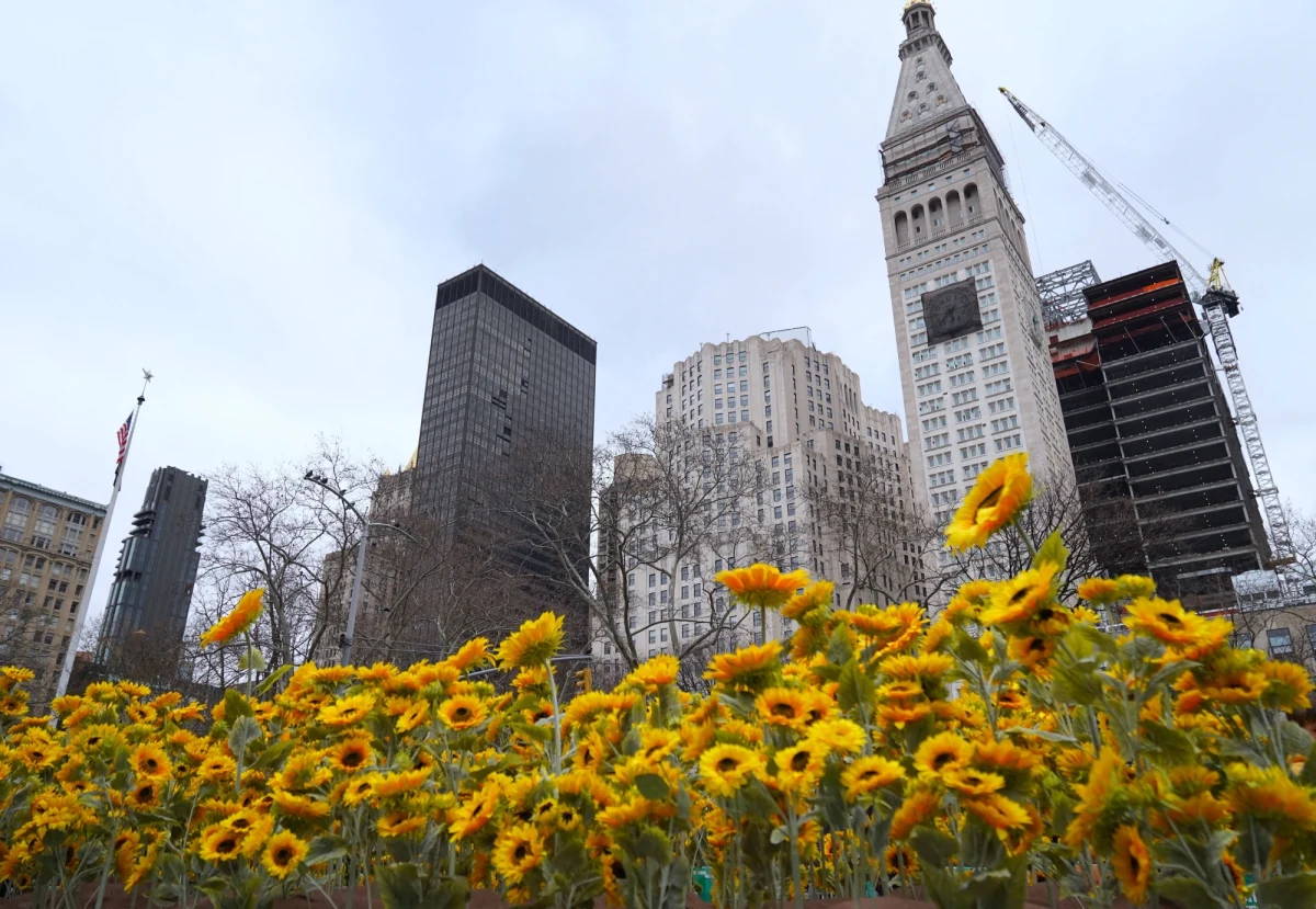 W Nowym Jorku pojawiła się nietypowa instalacja. Wykonana została z ponad 300 słoneczników. To znak solidarności z Ukrainą. 
