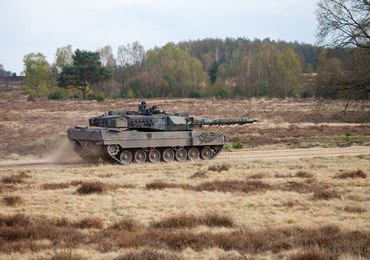 Niemcy otrzymali polski wniosek o przekazanie leopardów