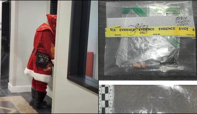 Czy Święty Mikołaj istnieje? Dziewczynka wysłała ciastko do analizy DNA