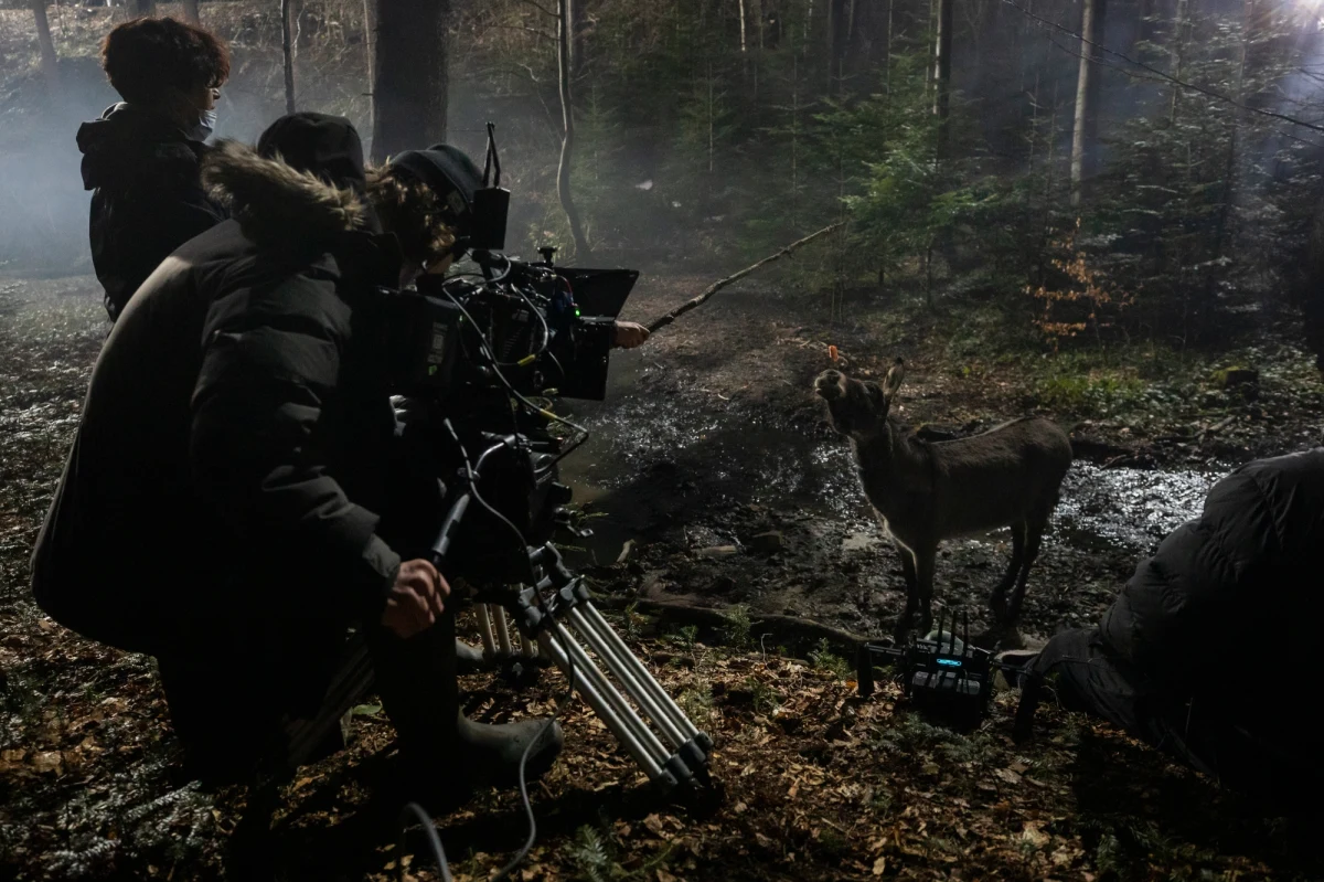 M.in. na Podkarpaciu, Dolnym Śląsku, a także na Warmii i Mazurach kręcono nominowany do Oscara polski film "IO". Obraz w reżyserii Jerzego Skolimowskiego powalczy o statuetkę w kategorii "najlepszy pełnometrażowy film międzynarodowy".