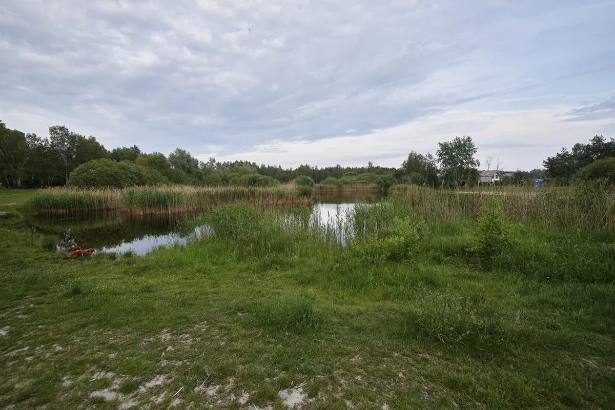Leśnictwo Miejskie i Straż Miejska poszukują osoby, która bezmyślnie zdewastowała uprawę młodych buków i róż na Lublinku. Rośliny nie zostały ukradzione – pocięto je ostrym narzędziem, prawdopodobnie sekatorem i zostawiono na terenie uprawy.
