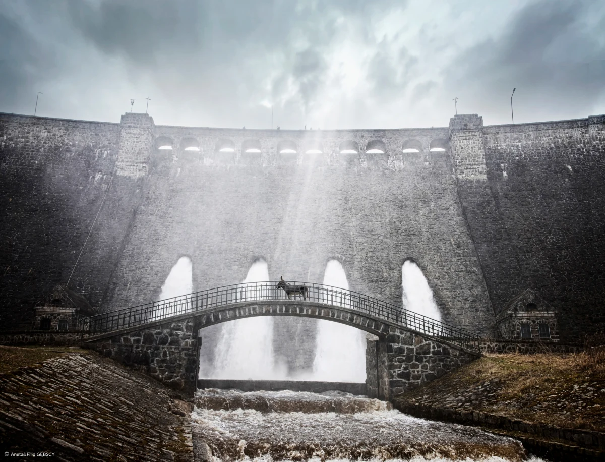 "IO" Jerzego Skolimowskiego otrzymał nominację do Cezara dla najlepszego filmu zagranicznego. O statuetkę powalczy m.in. z "Boy from Heaven" Tarika Saleha, "Blisko" Lukasa Dhonta i "W trójkącie" Rubena Ostlunda. Faworytem w wyścigu po statuetki - z 11 nominacjami - został "L'Innocent" Louisa Garrela.