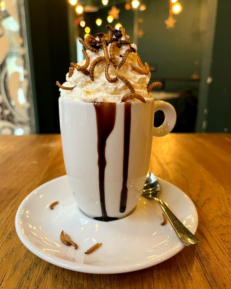 /Czekoladziarnia Wrocław /