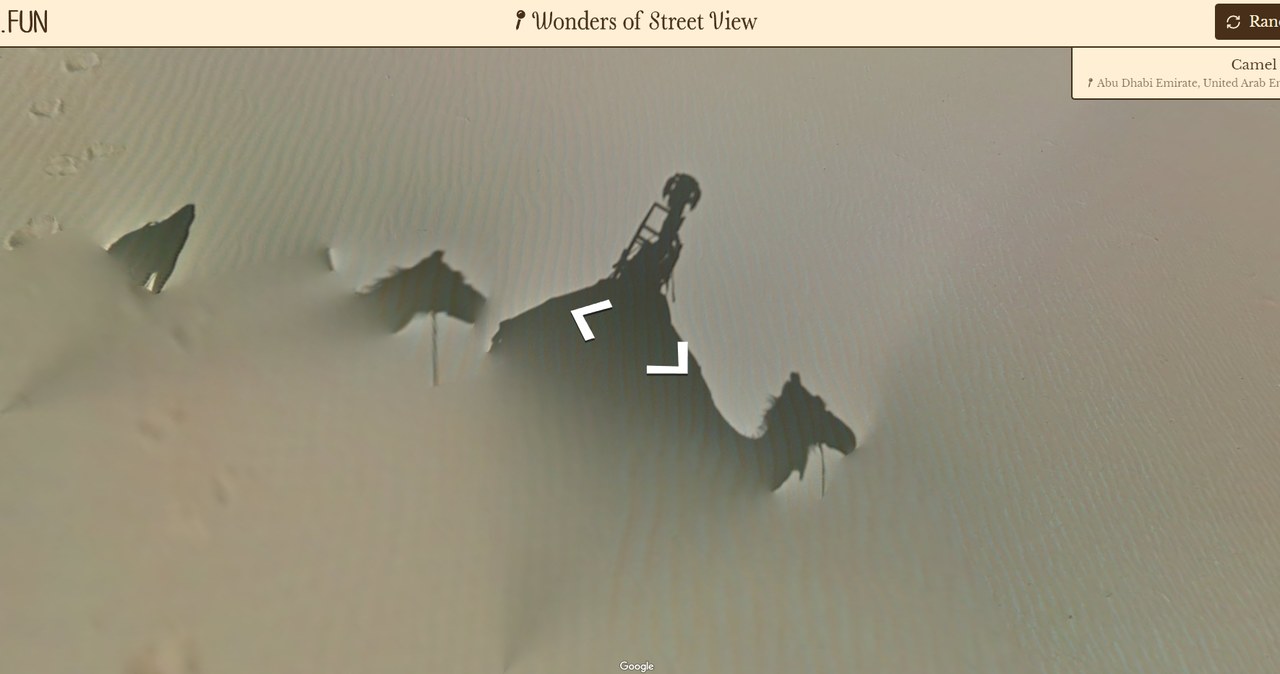 /Zrzut ekranu/Wonders of Street View/Neal.fun /materiał zewnętrzny