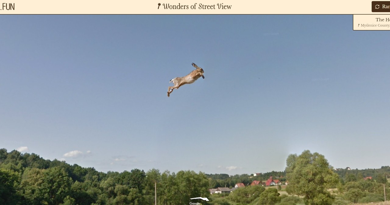 /Zrzut ekranu/Wonders of Street View/Neal.fun /materiał zewnętrzny