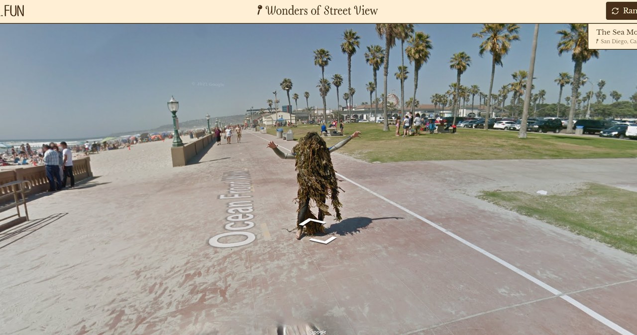 /Zrzut ekranu/Wonders of Street View/Neal.fun /materiał zewnętrzny