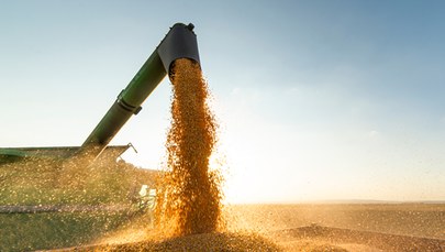 Nie będzie ograniczeń importu zboża z Ukrainy. Czy UE pomoże polskim rolnikom?