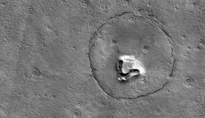 NASA pokazało zdjęcie "marsjańskiego niedźwiedzia"
