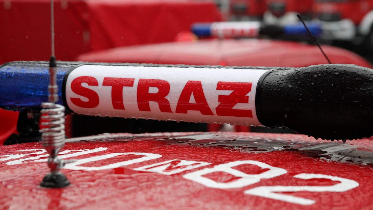 Trzy osoby, w tym dwoje dzieci, trafiły do szpitala z objawami podtrucia tlenkiem węgla po pożarze sadzy, do którego doszło w niedzielę późnym popołudniem w jednym z domów w Pewli Ślemieńskiej na Żywiecczyźnie - podali żywieccy strażacy. Ich życiu nic nie zagraża.