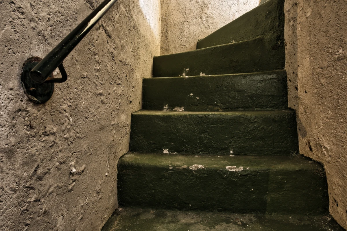 Policja uwolniła 6 dzieci, które żyły w piwnicy domu w austriackiej miejscowości Obritz. Ich rodzice, Brytyjczycy z pochodzenia, należą to tak zwanych prepersów. 