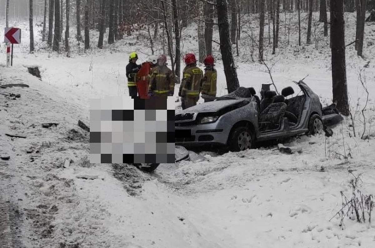 38-letnia kobieta i 43-letni mężczyzna zginęli w wypadku na drodze krajowej nr 58 między Olsztynkiem a Jedwabnem w Warmińsko-Mazurskiem. Do tragicznego zdarzenia doszło, gdy 38-letnia kierująca na zakręcie drogi wpadła w poślizg i uderzyła w jadącą z naprzeciwka ciężarówkę.