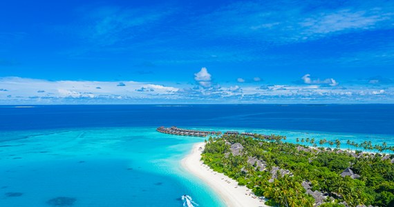 52-letni turysta z Polski zginął wczoraj u wybrzeży wysepki Thulusdhoo w archipelagu Malediwów na Oceanie Spokojnym. Informację na ten temat podały miejscowe media.