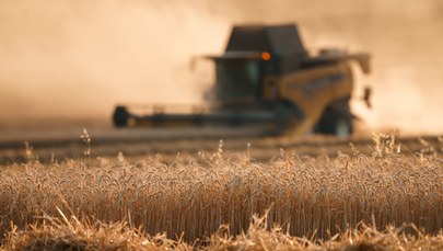 Zboże z Ukrainy problem dla polskich rolników. Co z unijną pomocą?