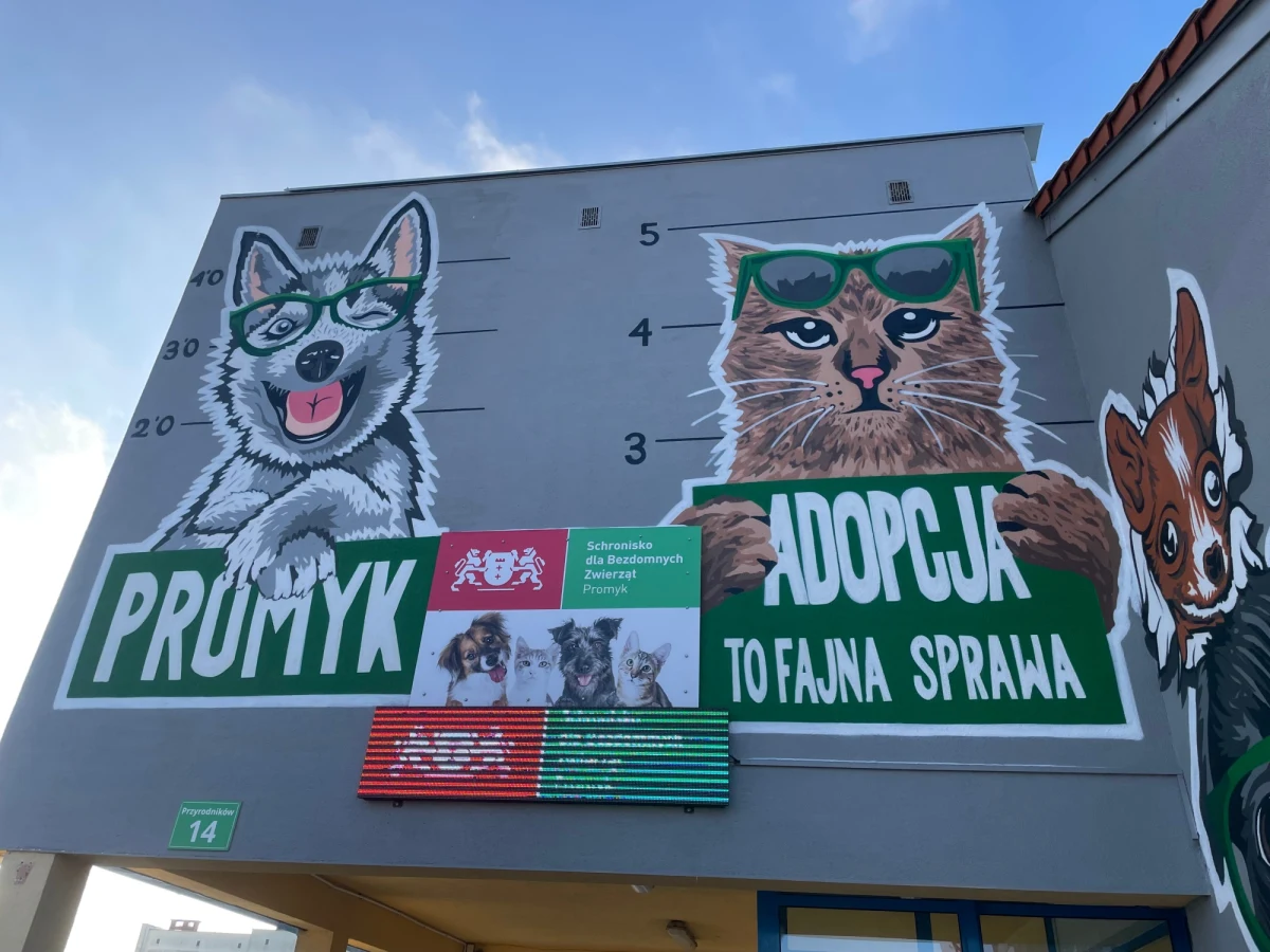 Gdańskie schronisko dla zwierząt "Promyk" ma zostać rozbudowane. Miasto szuka chętnych, którzy będą chcieli przygotować projekty dla tej inwestycji. Na terenie schroniska w Kokoszkach stanąć ma kilka nowych budynków.