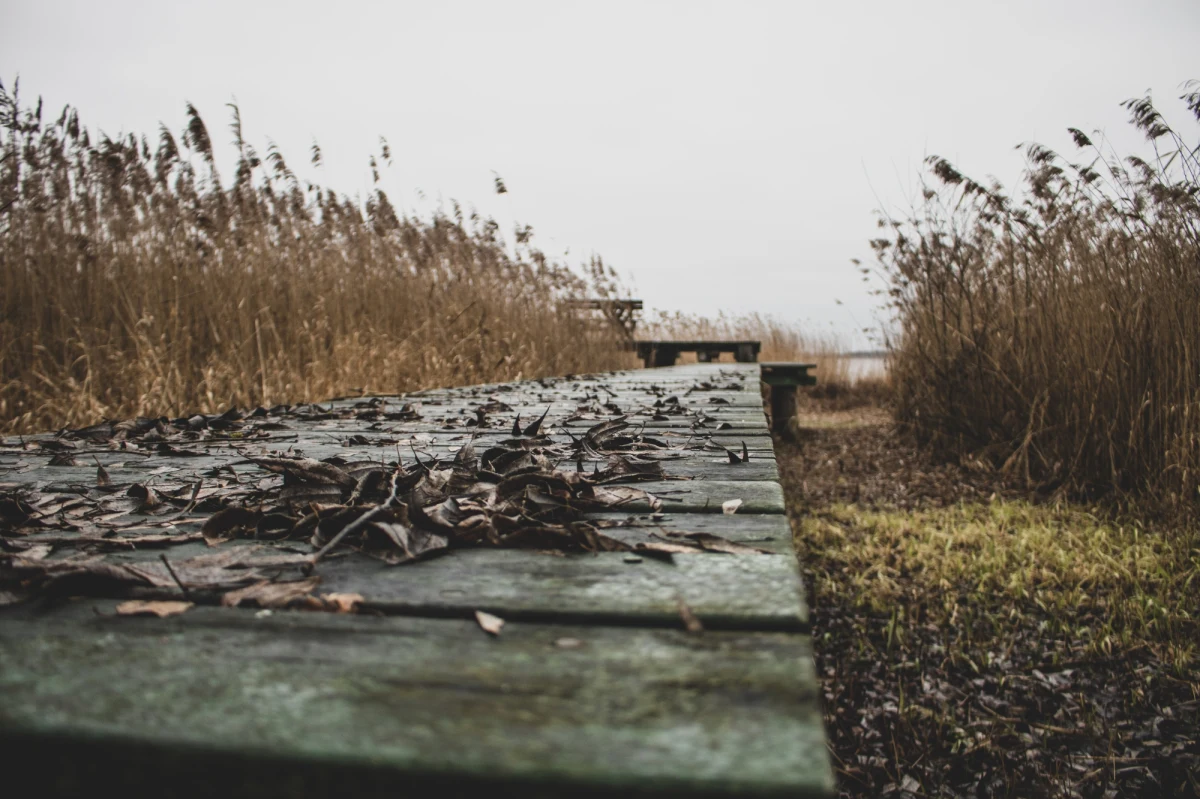 Sąd Okręgowy w Poznaniu skazał Grzegorza L. oskarżonego o zabójstwo swojego adopcyjnego ojca na karę dwóch i pół roku więzienia za nieumyślne spowodowanie śmierci. Mężczyzna opisał zajście w swoim dzienniku, ale zarzekał się, że opisana historia to fikcja literacka. 