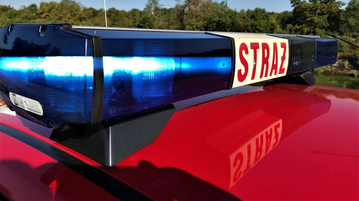 Nielegalne składowisko odpadów chemicznych zlikwidowali w Sępólnie Krajeńskim kujawsko-pomorscy policjanci. Informację o tym zdarzeniu dostaliśmy na Gorącą Linię RMF FM. 