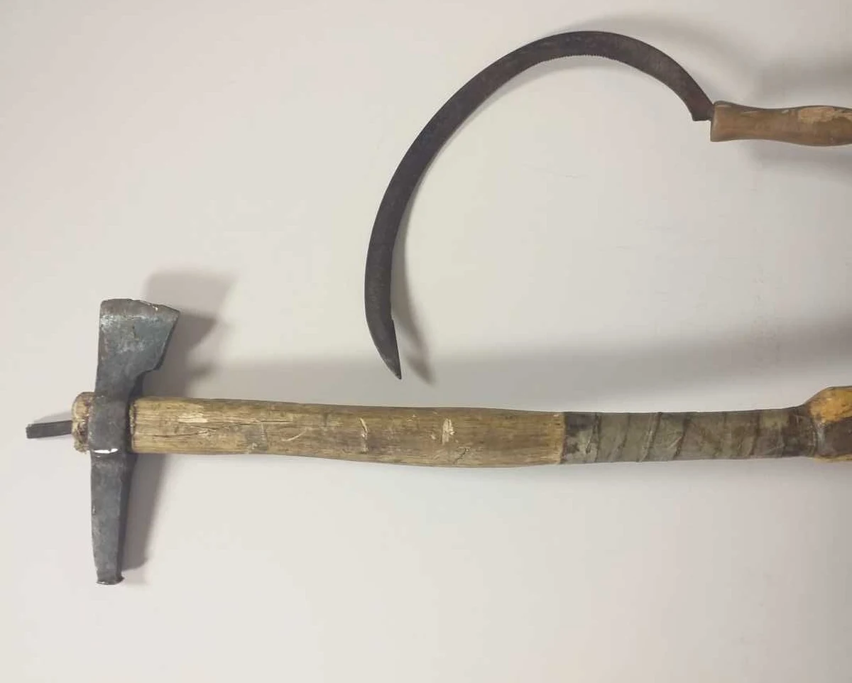 ​Za czynną napaść na policjantów odpowie 43-latek z Lubelszczyzny, który najpierw zamachnął się na funkcjonariuszy siekierą, a potem ruszył na nich z sierpem w dłoni. Nikt nie został ranny. Mężczyzna został obezwładniony i trafił do aresztu.