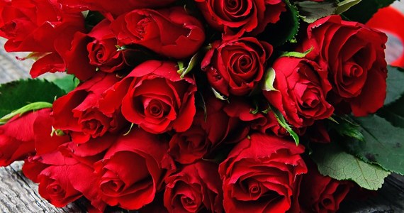 Walentynki to czas, kiedy zakochani wręczają sobie kwiaty. Najpopularniejszym wyborem są oczywiście czerwone róże, uznawane za symbol miłości. A może warto zdecydować się na coś mniej standardowego? Co zrobić, by wybrane przez nas kwiaty możliwie długo wyglądały świeżo? O kwiatach opowiada dr hab. Ewa Skutnik, prof. SGGW z Samodzielnego Zakładu Roślin Ozdobnych w Instytucie Nauk Ogrodniczych SGGW.