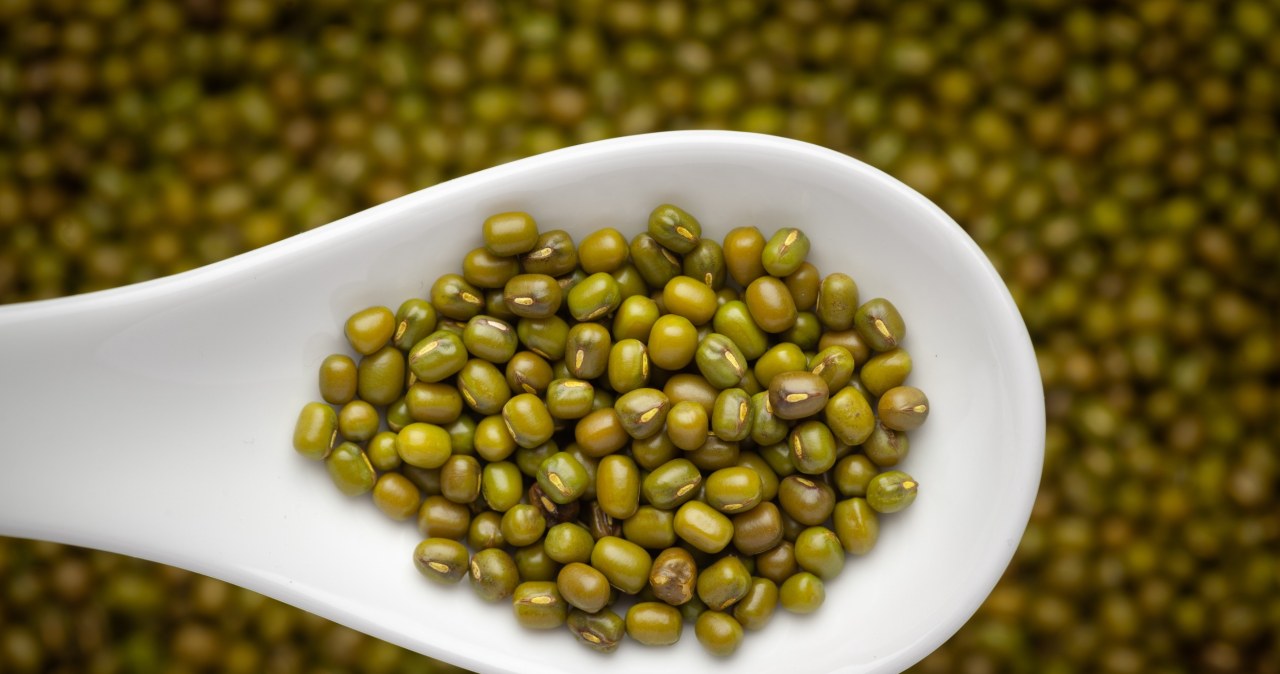 Najzdrowsza fasola świata. Idealna dla cukrzyków, odtruwa wątrobę