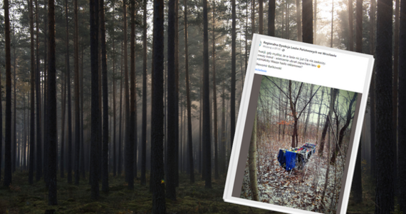 Regionalna Dyrekcja Lasów Państwowych we Wrocławia opublikowała zdjęcie pokazujące nietypową sytuację w lesie. Między drzewami ktoś rozwiesił suszarkę z praniem. 