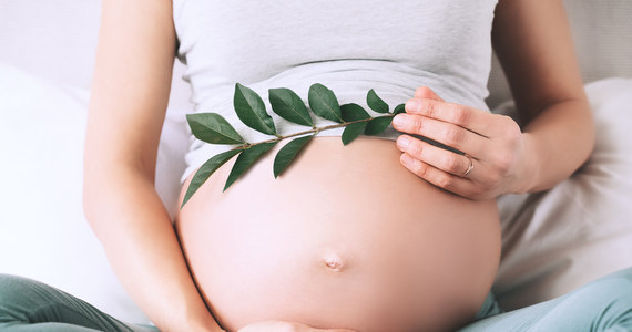 ​Od marca ruszą zapisy do udziału w miejskim programie in vitro w Lublinie. Miasto Lublin właśnie ogłosiło konkurs ofert dla ośrodków medycznych, które zrealizują program. Na początek przewidziano 50 par. Każda może dostać dofinansowanie do dwóch zabiegów. W budżecie miasto przeznaczyło na dwa lata półtora miliona złotych.