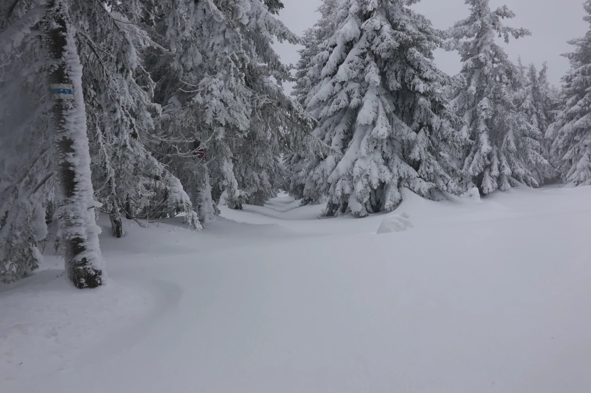​Bardzo trudne warunki w Karkonoszach. Wysoko w górach są nawet 2 metrowe zaspy, a na Śnieżce wiatr ma w porywach prędkość 150 kilometrów na godzinę. Lepiej nie wybierać się na górską wędrówkę.