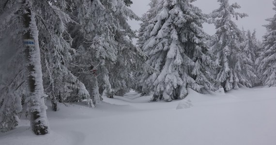 ​Bardzo trudne warunki w Karkonoszach. Wysoko w górach są nawet 2 metrowe zaspy, a na Śnieżce wiatr ma w porywach prędkość 150 kilometrów na godzinę. Lepiej nie wybierać się na górską wędrówkę.