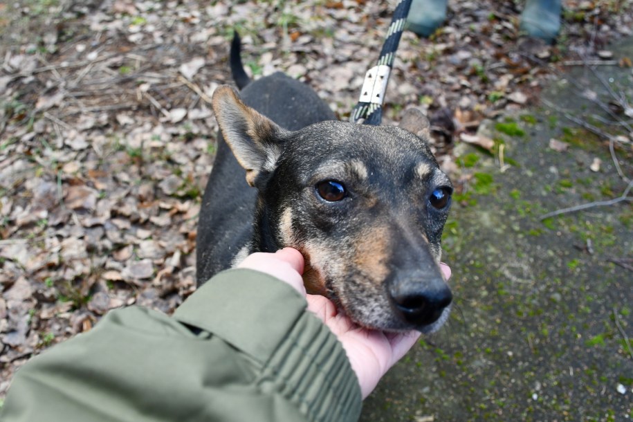 /Fot. Małgorzata Chodyła/ZOO Poznań /