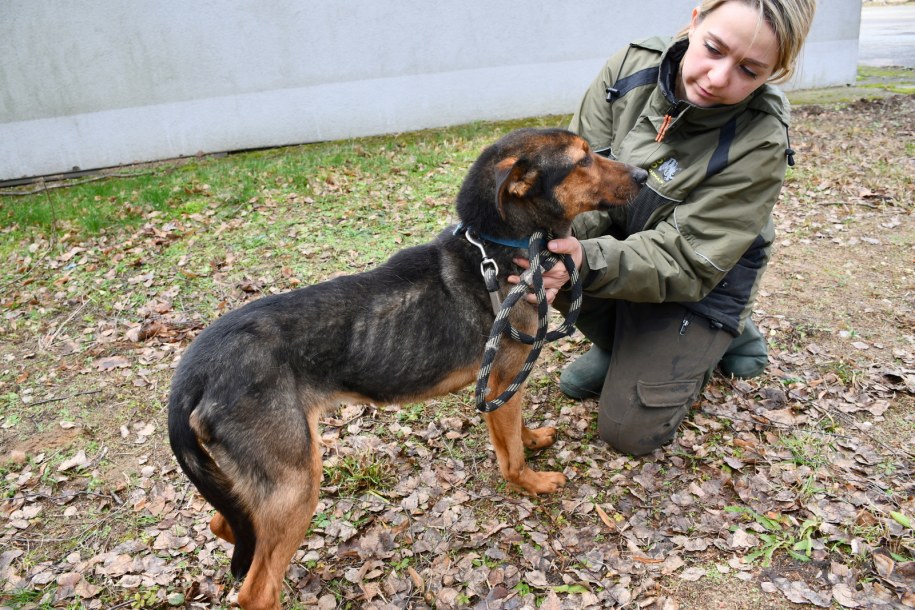 /Fot. Małgorzata Chodyła/ZOO Poznań /