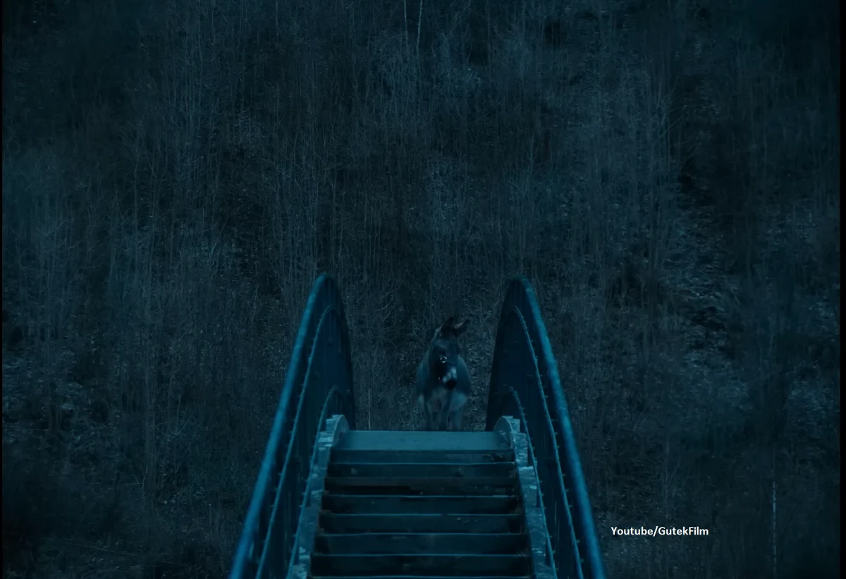 O Takuniu zrobiło się ostatnio głośno w mediach za sprawą nominowanego do Oscara filmu Jerzego Skolimowskiego "IO". W główną rolę wcieliło się aż sześć zwierząt, ale to Takunio jako jedyny odważył się zagrać scenę w tunelu. Filmowy "gwiazdor" żyje ze swoimi opiekunami, Małgorzatą Supronowicz i Tomaszem Borkowskim w Nowej Wsi, pod Nadarzynem na Mazowszu. Okazuje się, że plan filmowy nie jest dla niego obcy, a on sam wcale nie jest uparty.