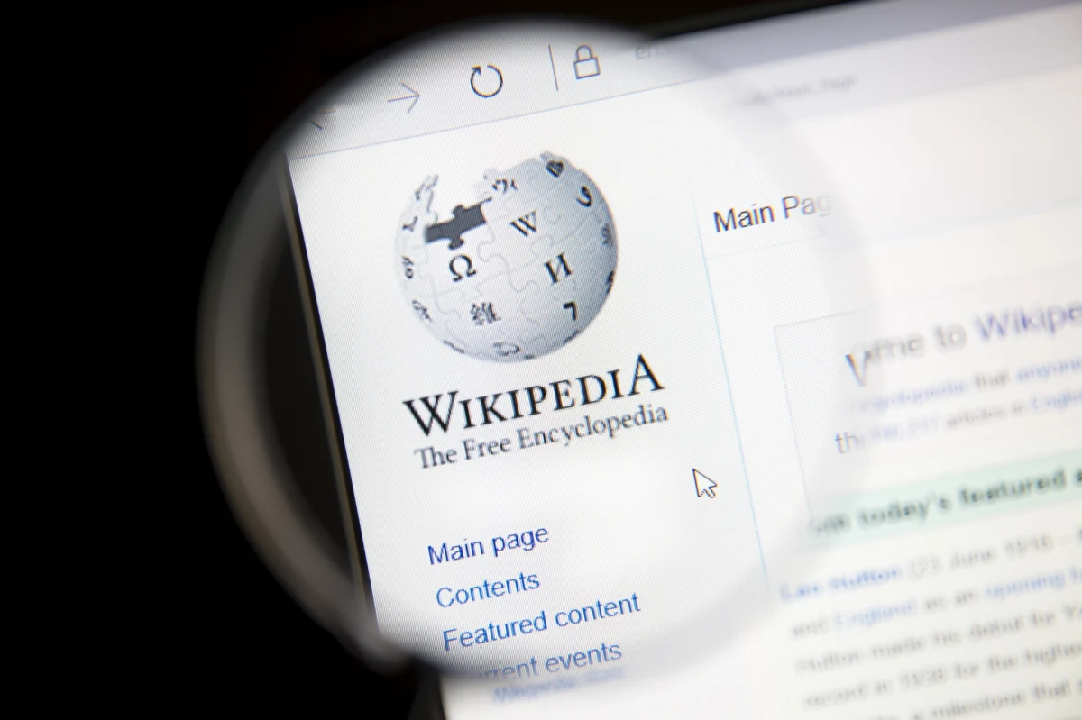 Encyklopedia internetowa Wikipedia została zablokowana w całym Pakistanie z powodu zamieszczania „bluźnierczych treści” dotyczących islamu - przekazał w sobotę Pakistański Urząd Telekomunikacyjny (PTA).