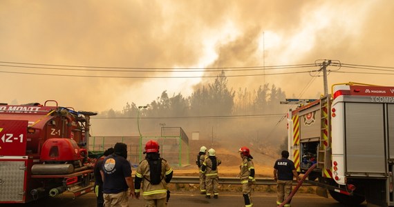 Co najmniej 23 osoby zginęły w dziesiątkach pożarów lasów w Chile. W kraju szaleje letnia fala upałów. Rannych zostało 979 osób, a 1,1 tys. mieszkańców zostało ewakuowanych. W kolejnym regionie wprowadzony został stan wyjątkowy. 