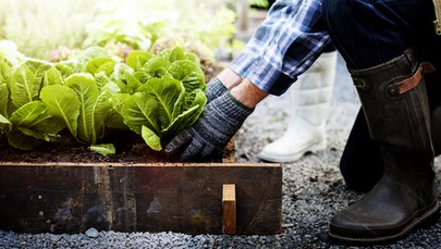 Recykling w MPO. Kup "koMPOśćik" do swojego ogrodu