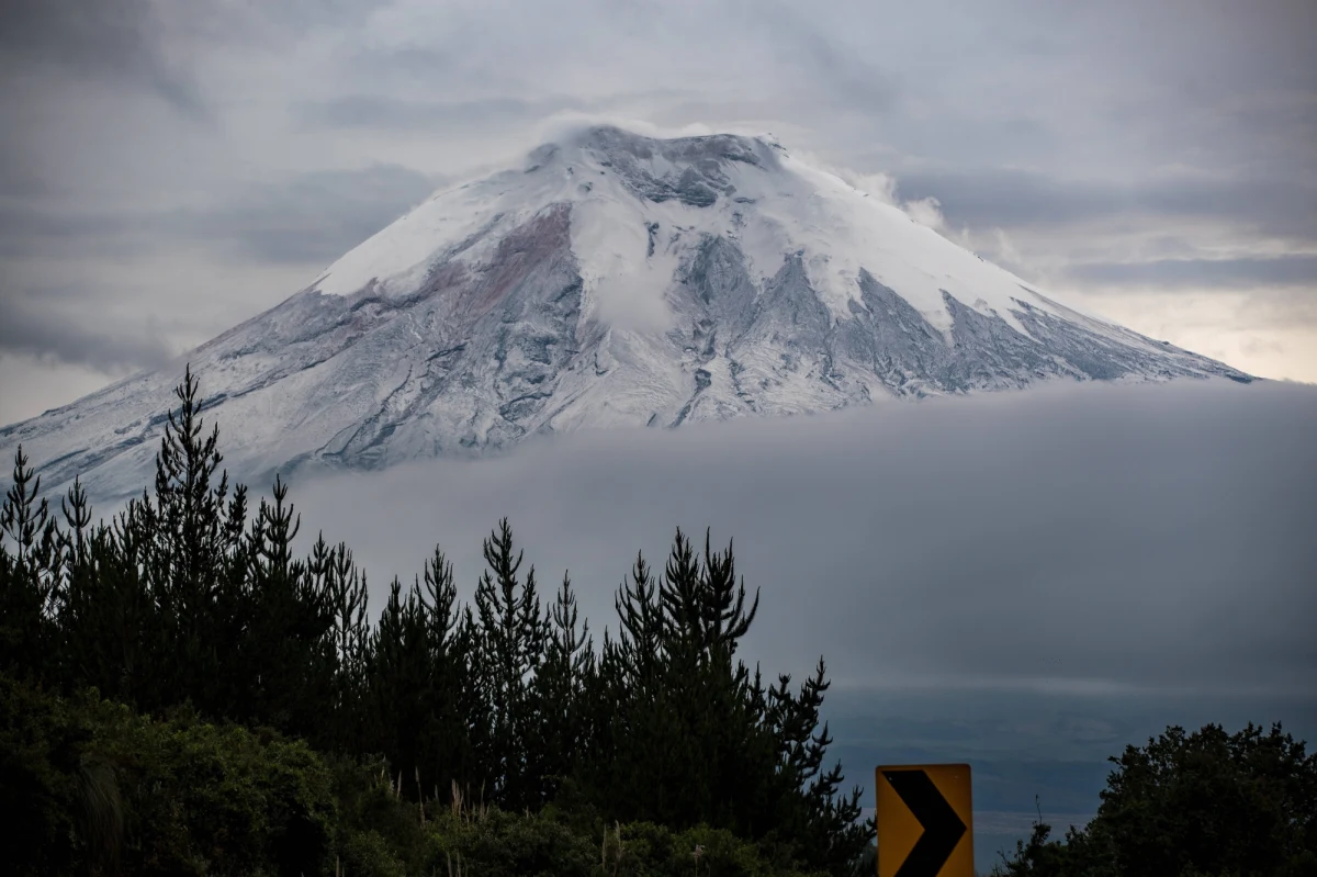 Grupa pasjonatów wspinaczki wysokogórskiej z Argentyny odnalazła w Andach ciało zaginionej prawie 42 lata temu alpinistki Marty Altamirano. Zwłoki 20-letniej kobiety - jak potwierdziła rodzina - były dobrze zachowane z powodu zamarznięcia.