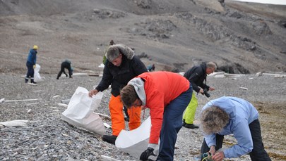 Plastikowe śmieci na Arktyce pochodzą z całego świata 