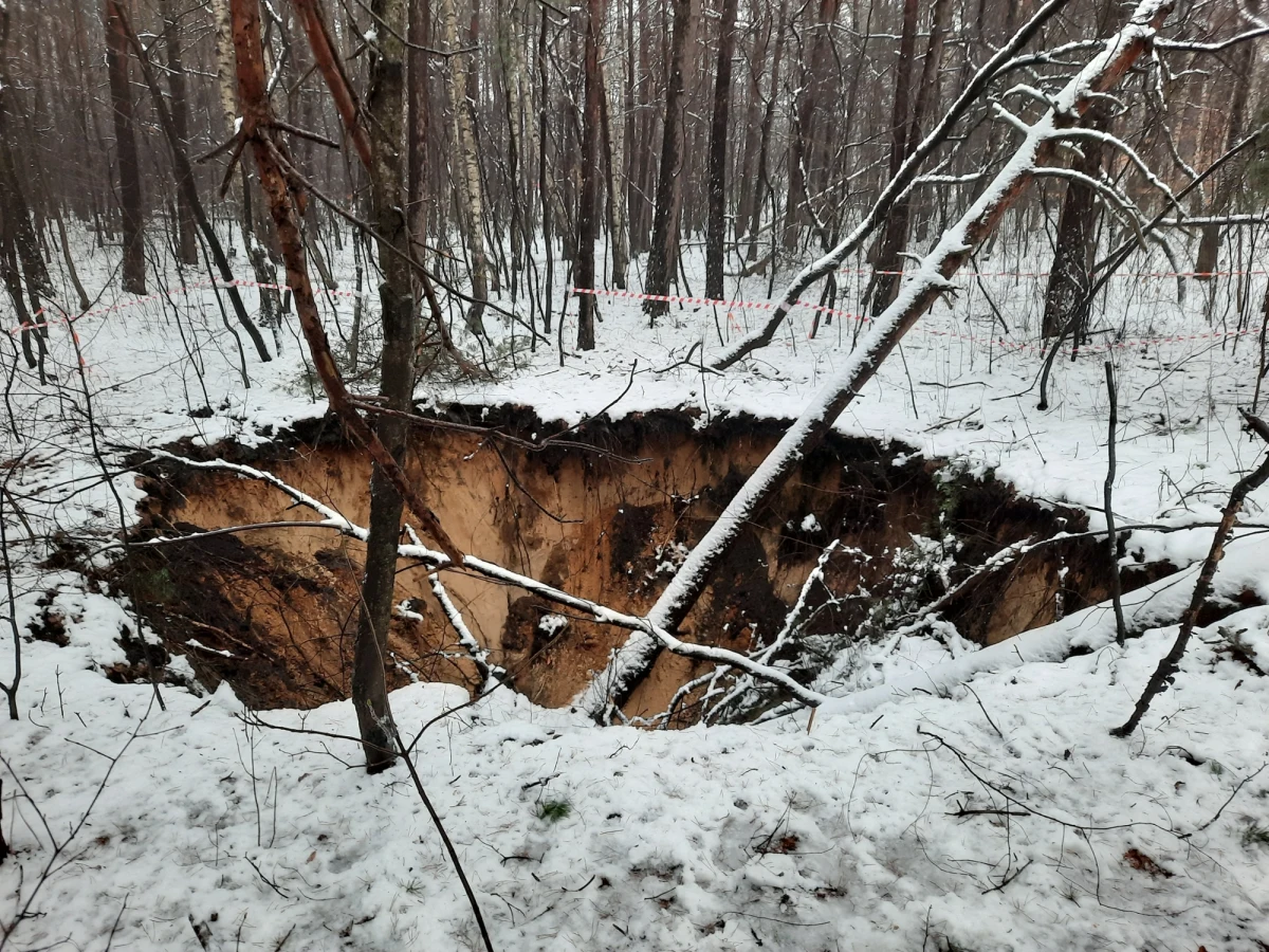 Wejście na zagrożony teren grozi utratą zdrowia lub życia - ostrzega Nadleśnictwo Chrzanów. Publikuje również mapę leśnych zapadlisk.