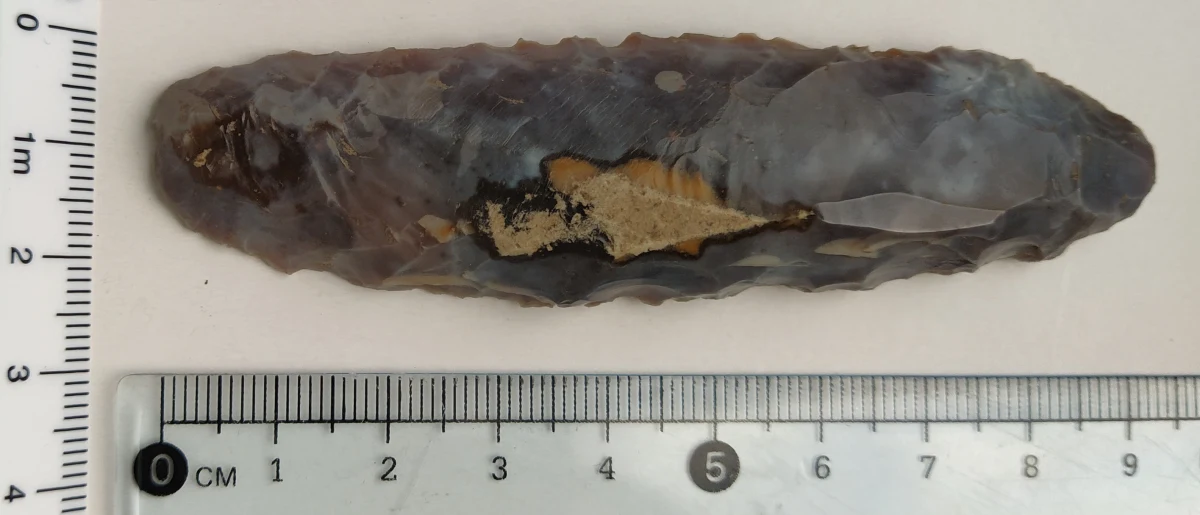 Pochodzące z 3 tys. p.n.e. narzędzia krzemienne zostały znalezione przez jednego z mieszkańców na polu pod Biłgorajem (Lubelskie). Ze wstępnych oględzin wynika, że wiórowiec służył jako nóż lub sierp, a drapacz do oczyszczania i obróbki skór zwierzęcych.