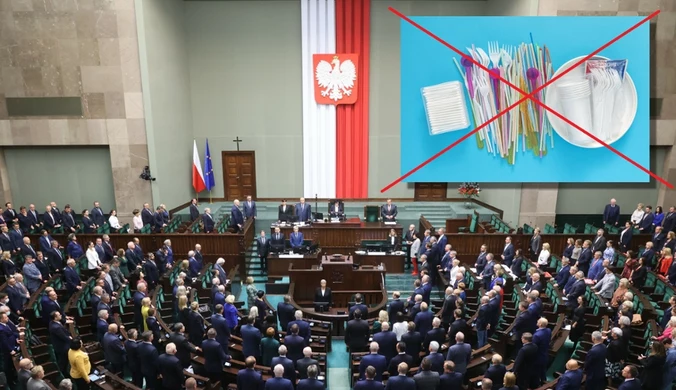 Ustawa antyplastikowa trafiła do Sejmu. Nawet pół miliona zł kary za jej złamanie