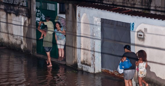 Co najmniej sześć osób zginęło w efekcie intensywnych opadów deszczu, które doprowadziły do powodzi w stanie Rio de Janeiro, na południowym zachodzie Brazylii. Akcję ratowniczą, jak podała lokalna obrona cywilna, utrudniają kajmany, które pojawiły się w niektórych miejscach brazylijskiej aglomeracji.
