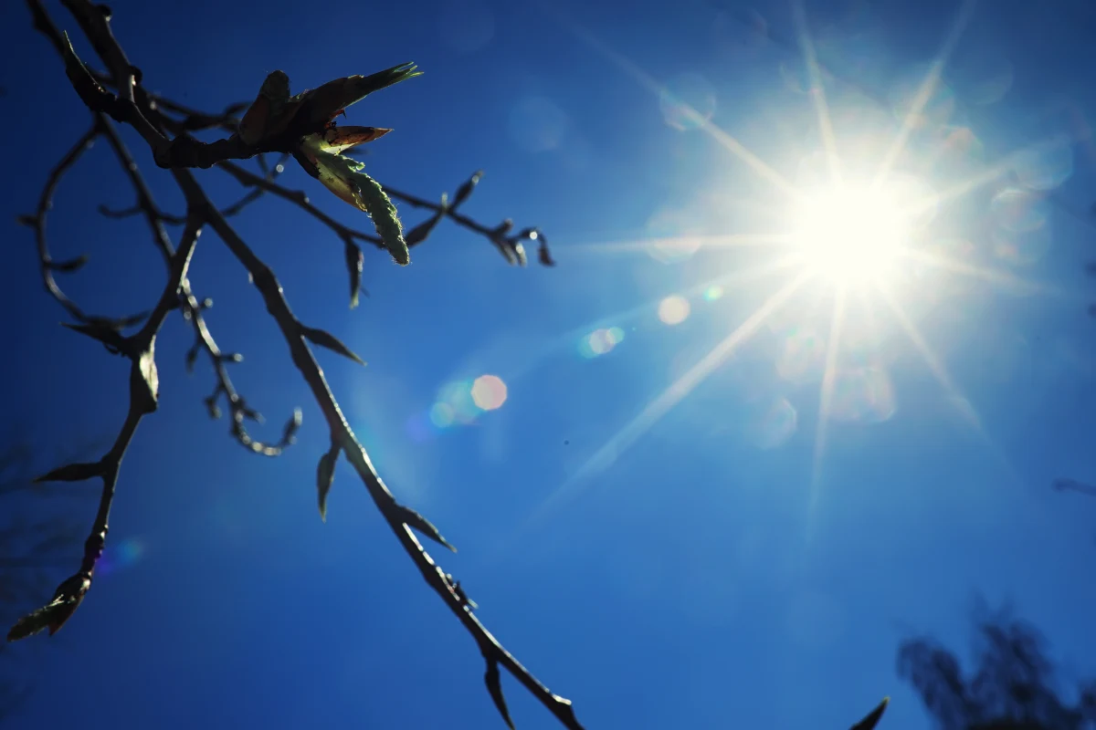 Po kilkunastostopniowych mrozach i intensywnych opadach śniegu nadciąga odwilż. Już w sobotę w zachodniej Polsce termometry mogą pokazać nawet 10 stopni powyżej zera. W kolejnych dniach temperatura wzrośnie do plus kilkunastu stopni Celsjusza. Czy to oznacza, że już na dobre pożegnamy się z zimą?