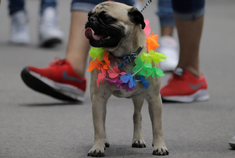 /GERARDO VIEYRAN /Getty Images